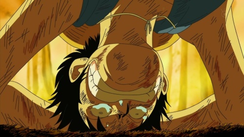 Luffy's despair